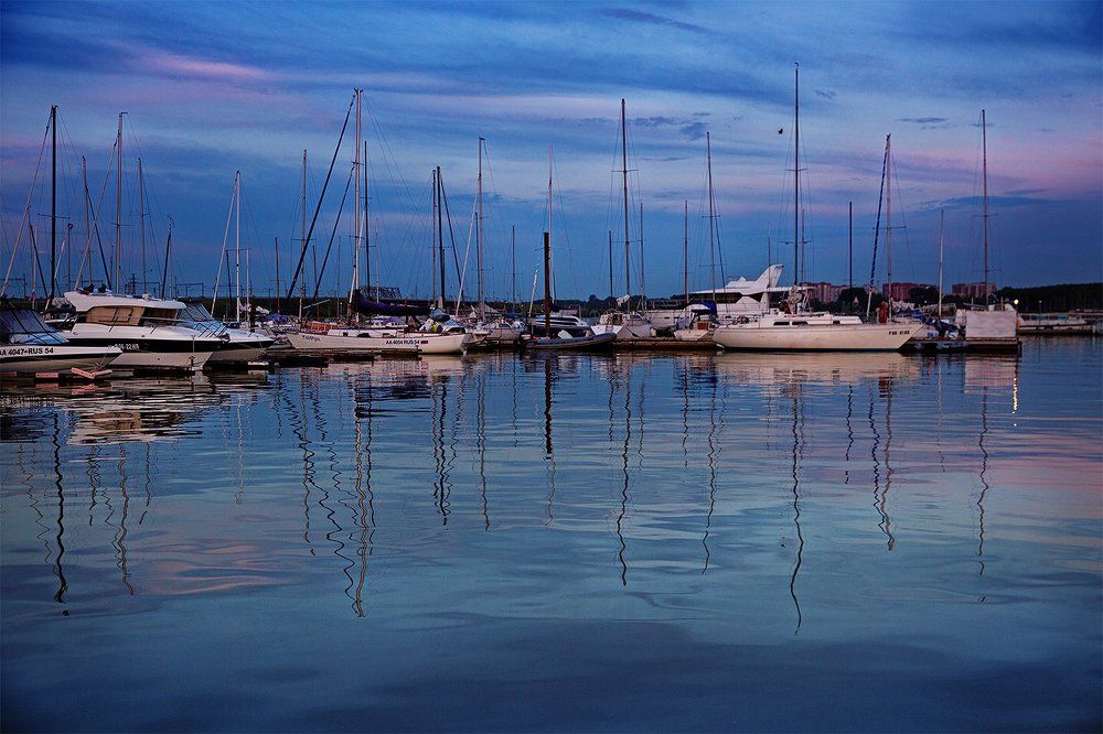 Фотография автора Ольга Строцкая