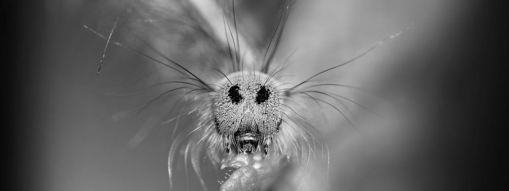 Я поцелую провода, и не ударит меня ток...
