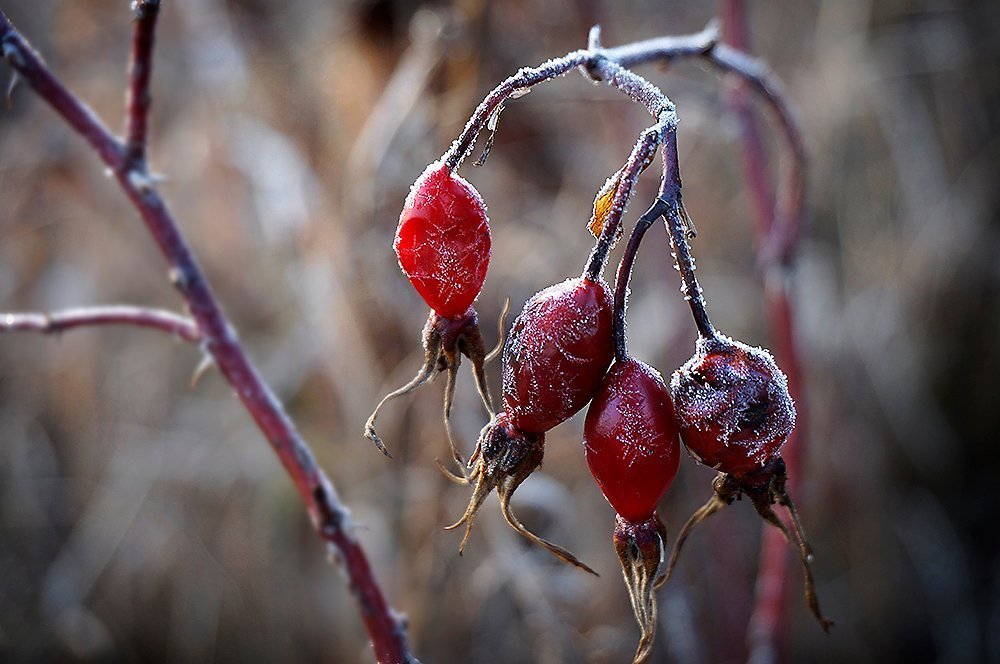 Заморозило.