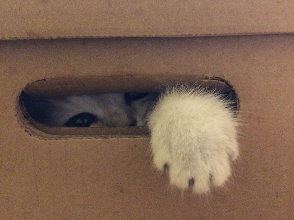 Photograph by Евгений Потапов