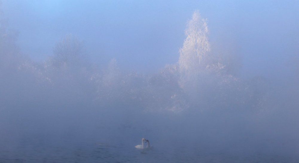 Синий туман