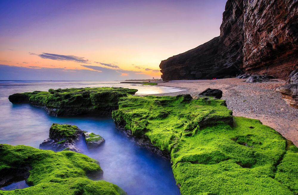 Moss in Hang Cau Cave