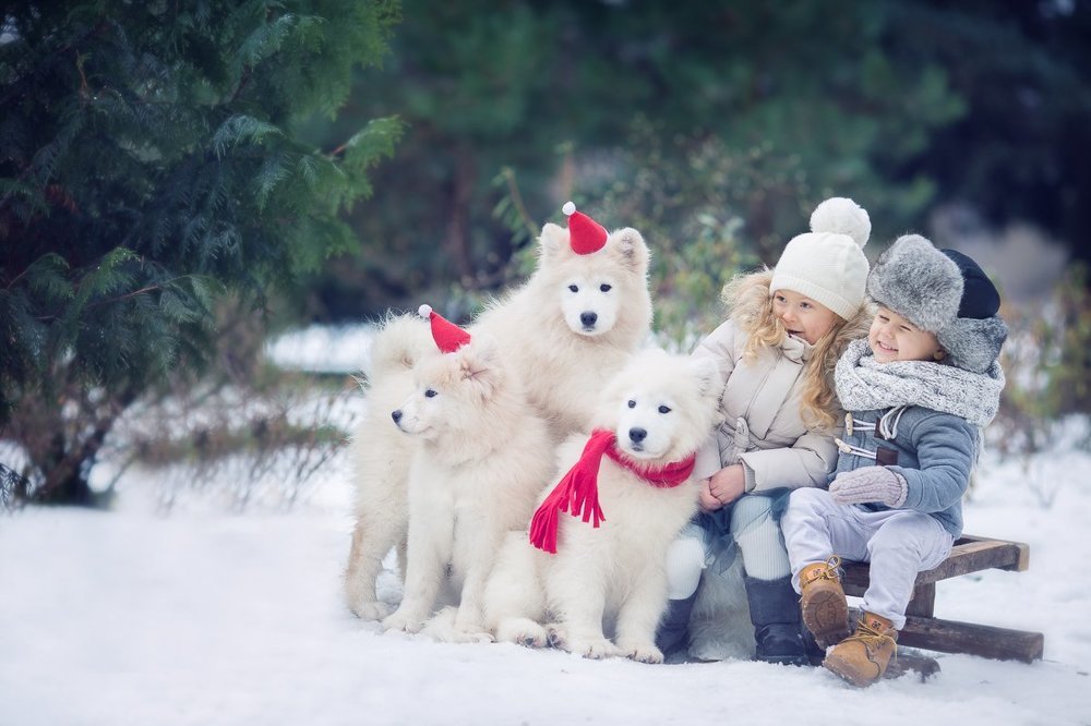 Волшебное время