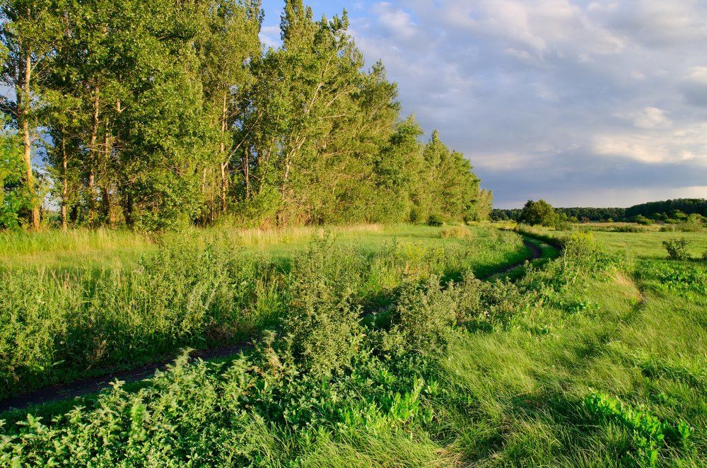 Photograph by Александр