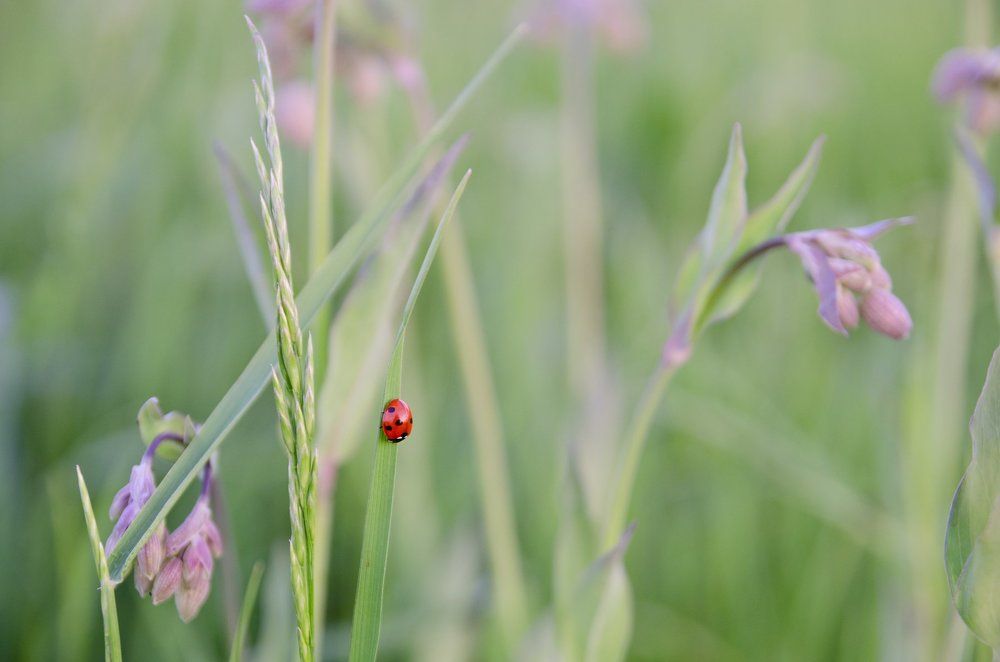 Photograph by Александр