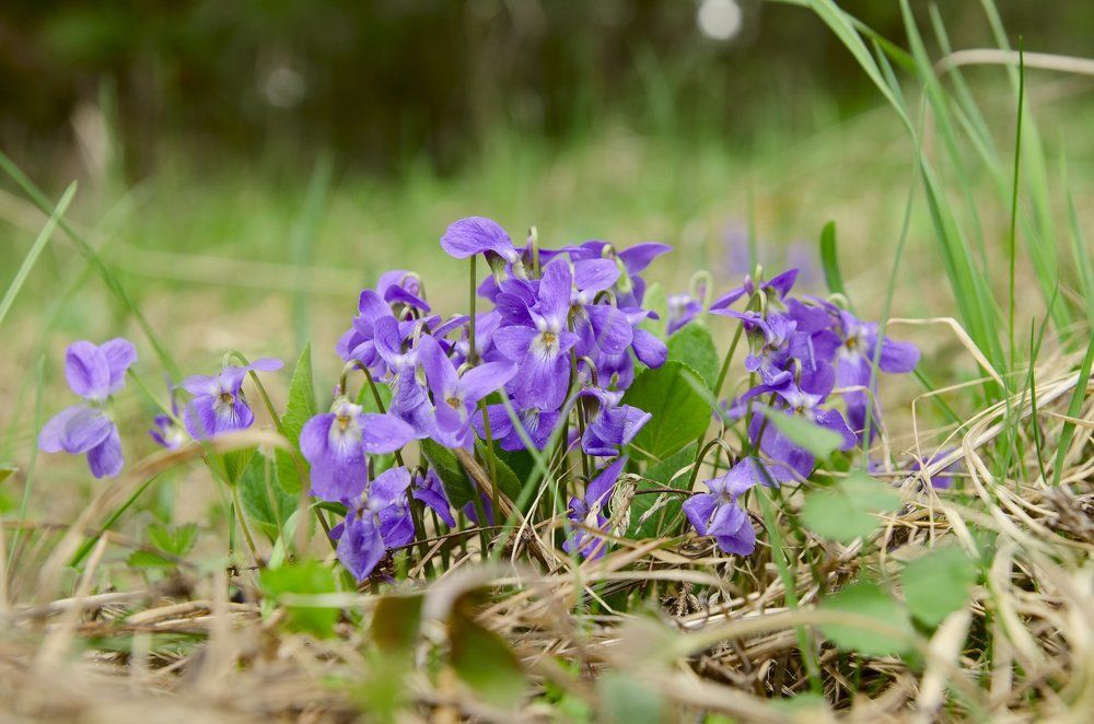 Photograph by Александр