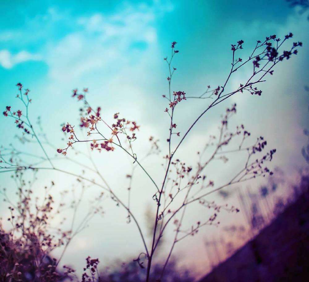 Фотография автора Sankalp Suradkar