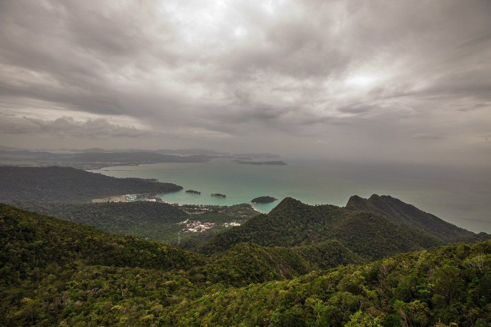 from the height of bird flight