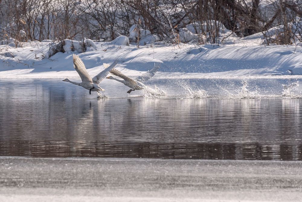 Кто быстрее
