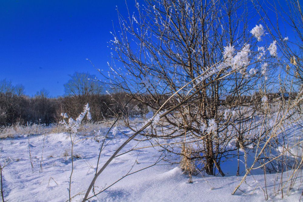 Январь ликует