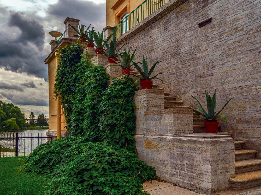 Петергоф. Ольгин павильон.