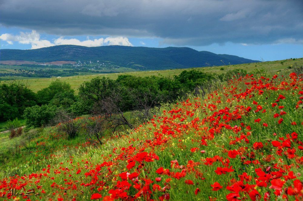Красное и зеленое