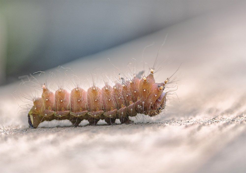 Нормальные герои всегда идут в обход...