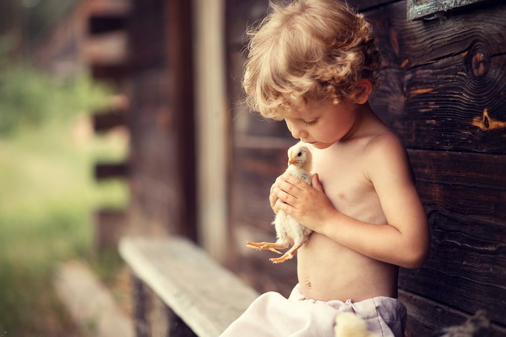 - Все будет хорошо, дружочек!