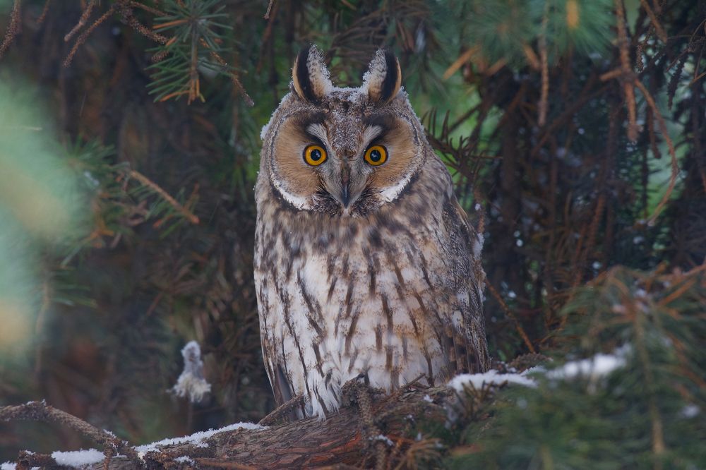 Зима в городе.