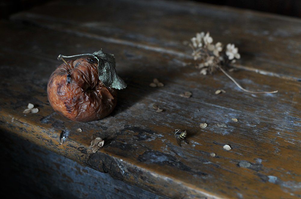 Всё тлен, и миг , и суета...