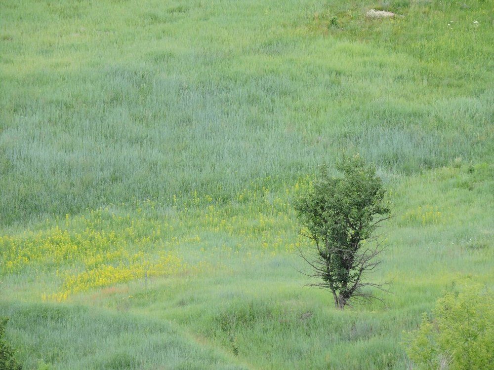 Photograph by Anna Pankratova