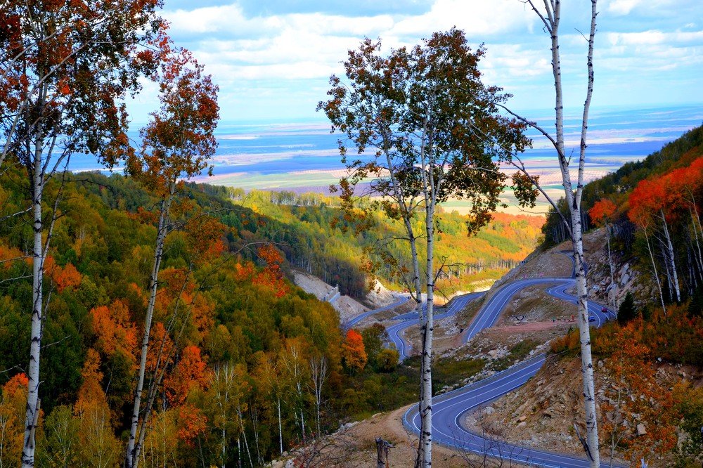 Серпантины Белокурихи