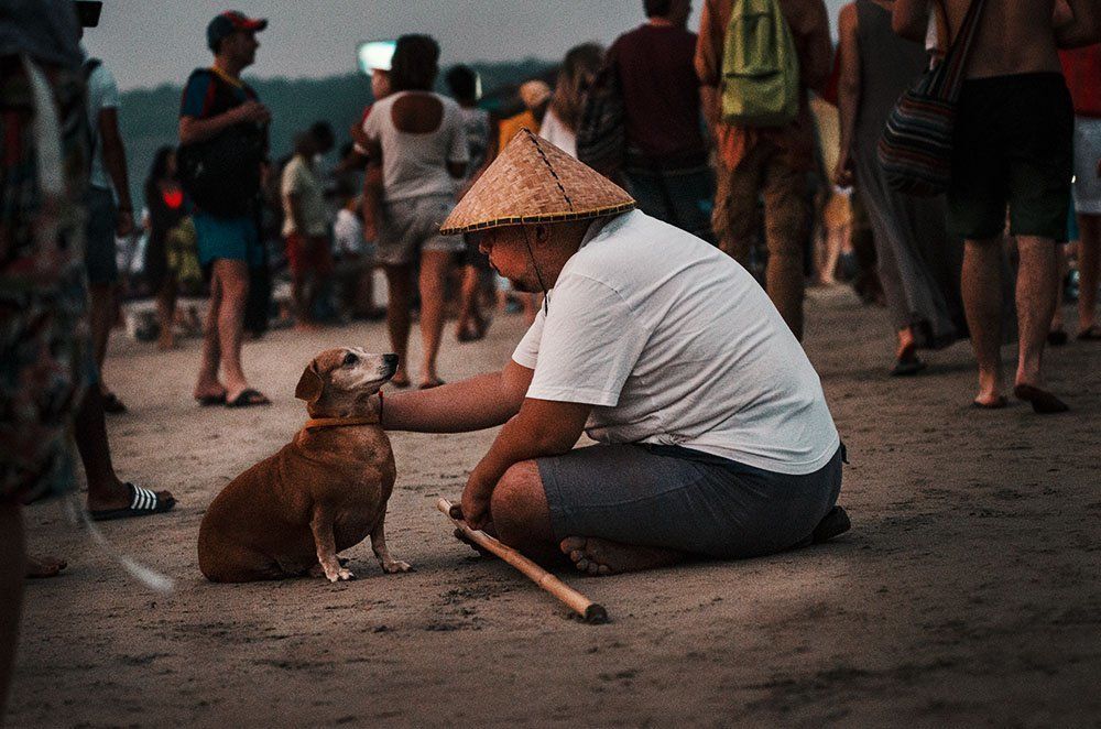 Родственные души