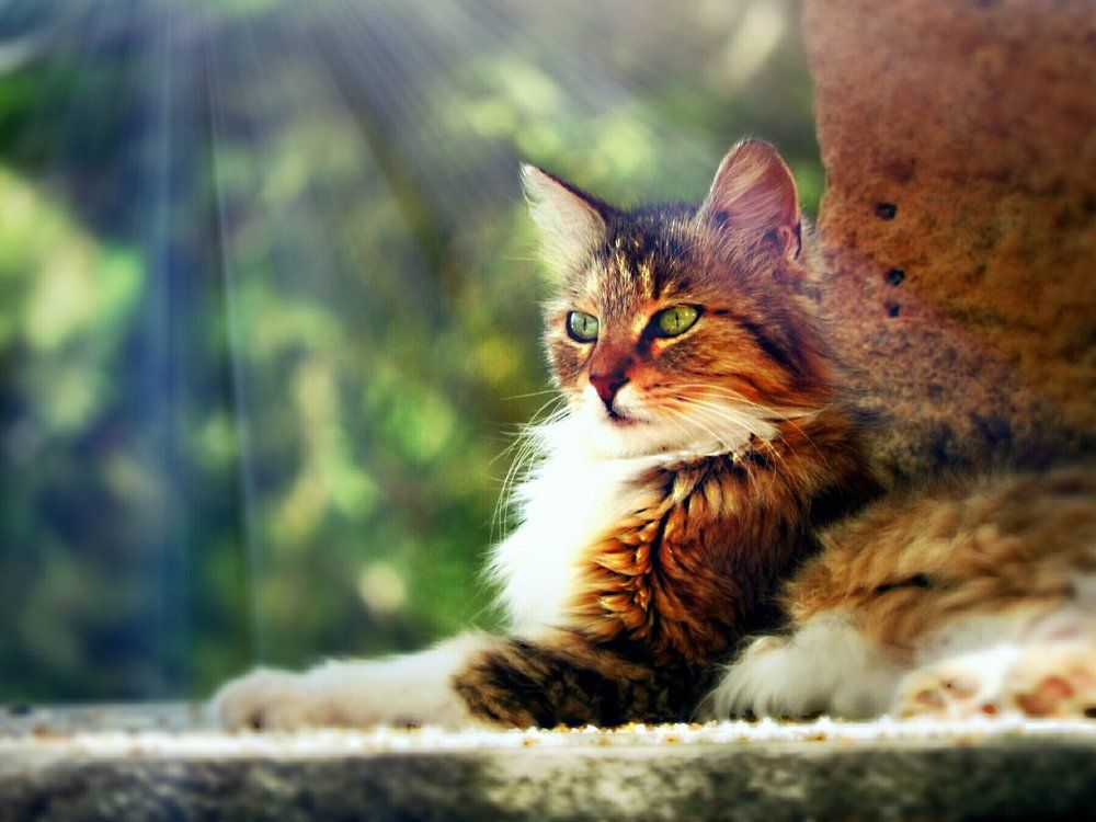 Photograph by Наталья