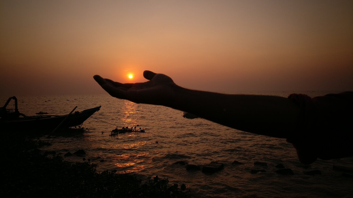 Setting sun on the palm