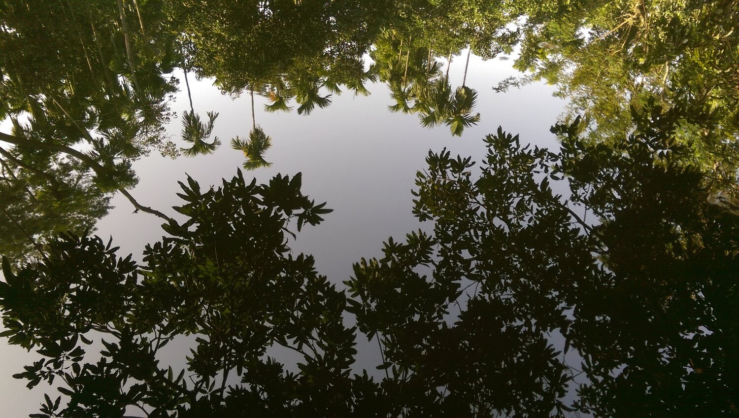 Reflection