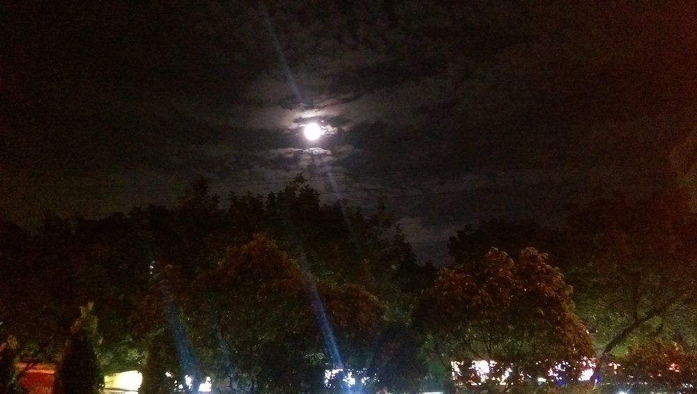 The Moon