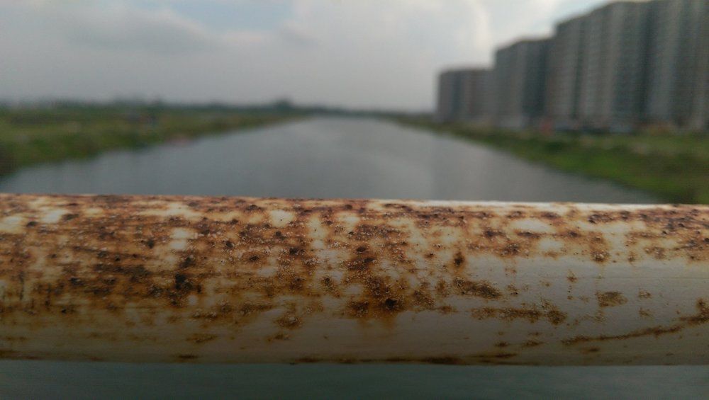 The rust