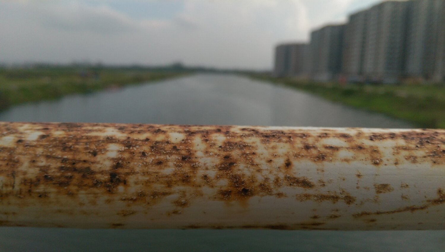 The rust