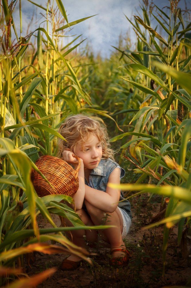 Сбор урожая