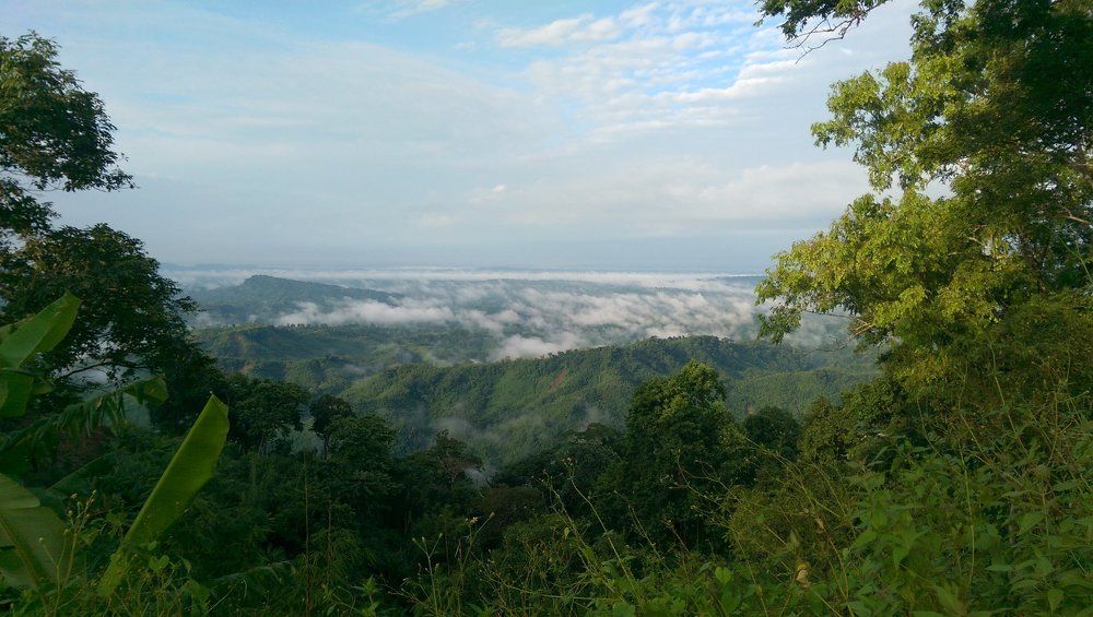 Landscape