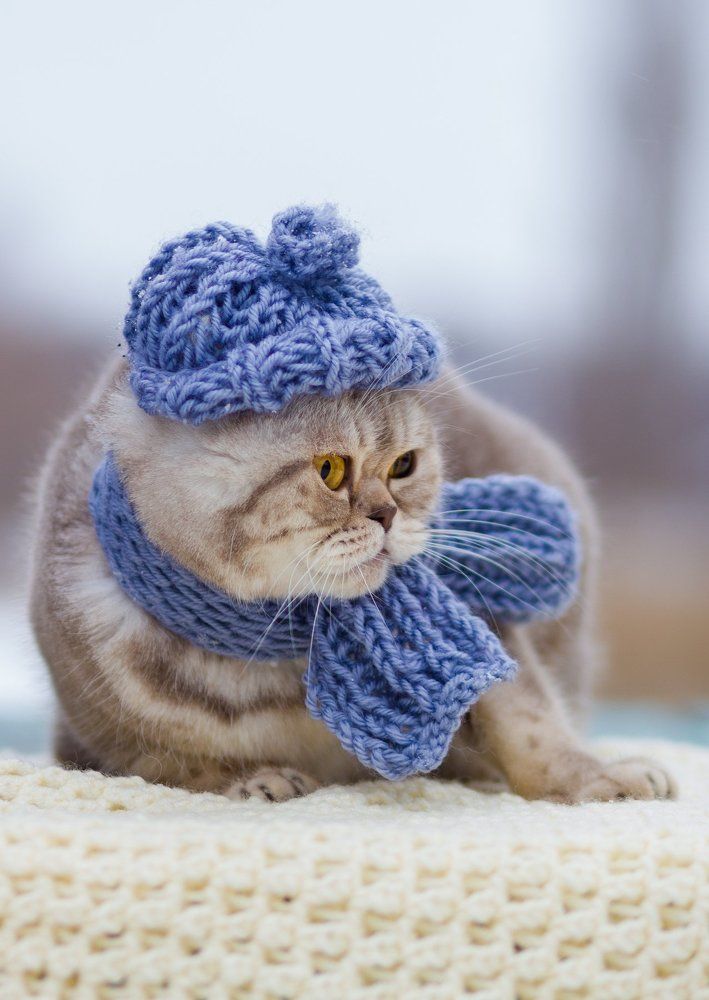 Одевайтесь теплее