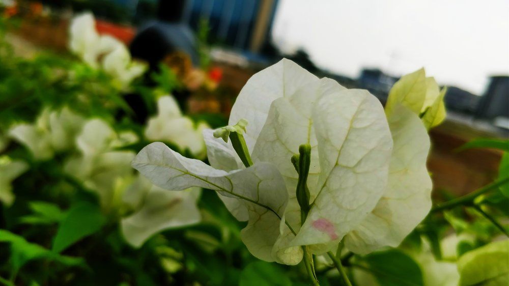 Photograph by Hemanthraj