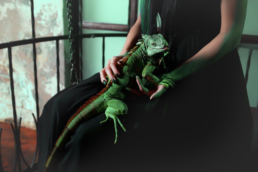 Photograph by Arma Gray