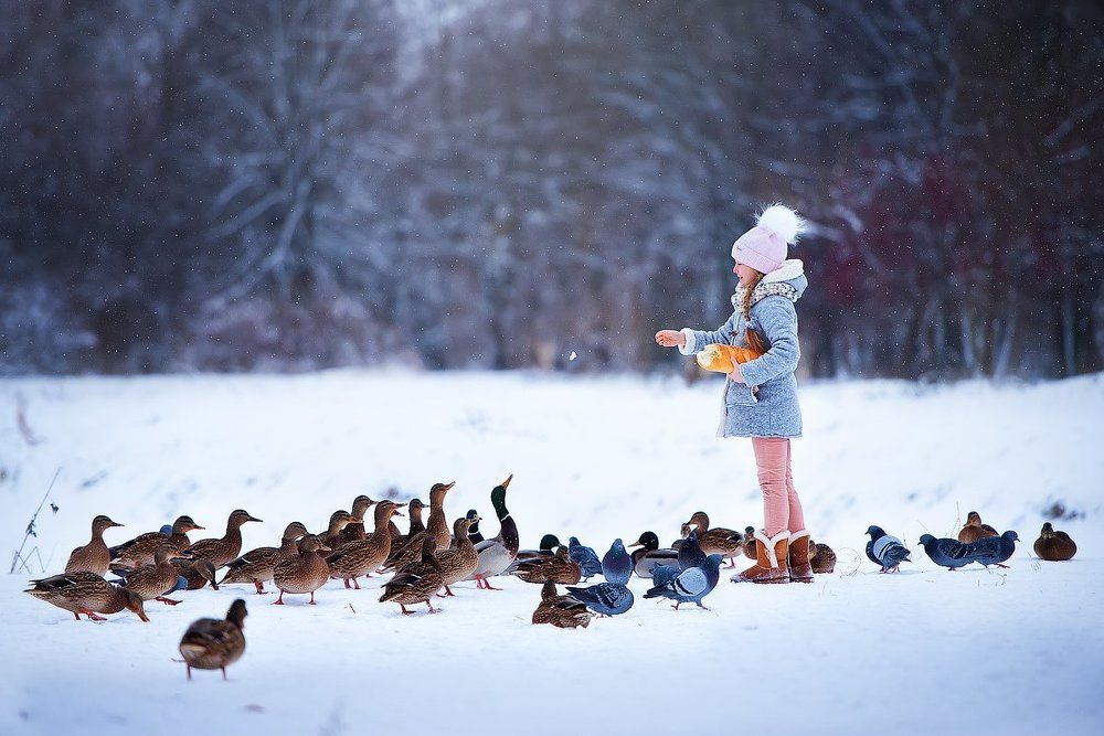 Photograph by Ольга Чебунина