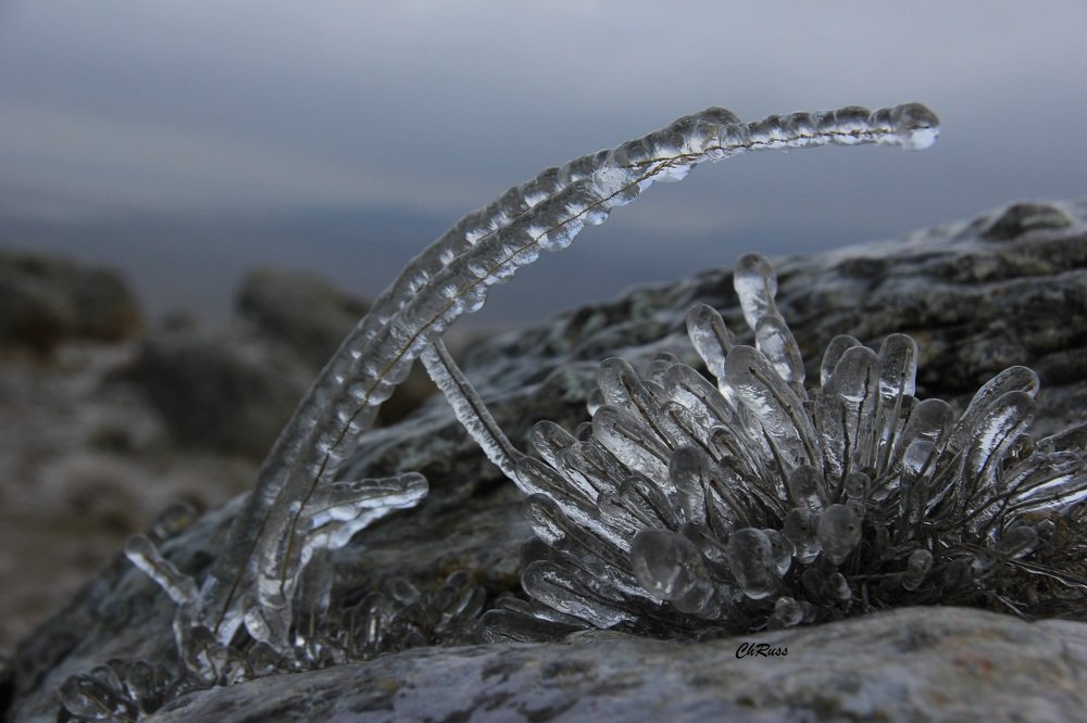 Ледяная сказка