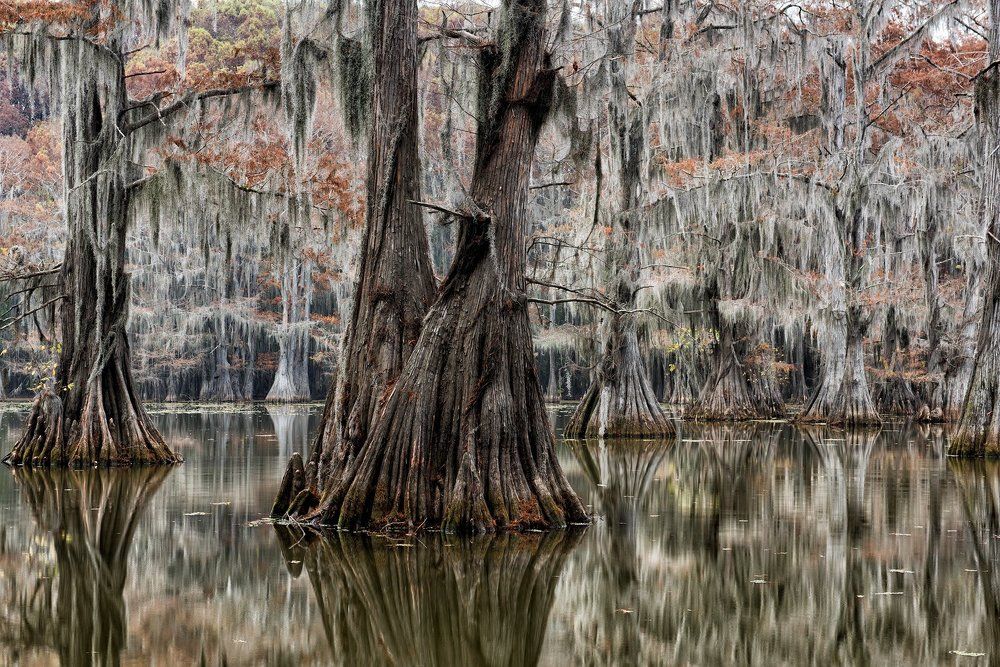 Осенняя седина