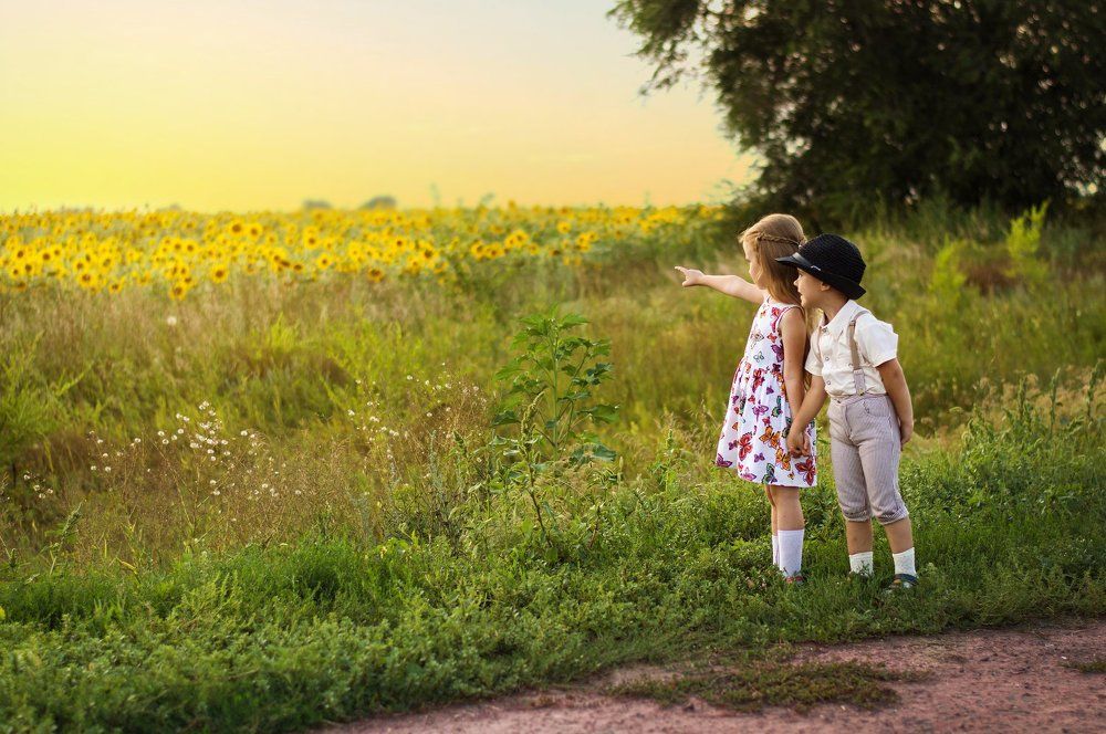 Поцелуй в подсолнухах