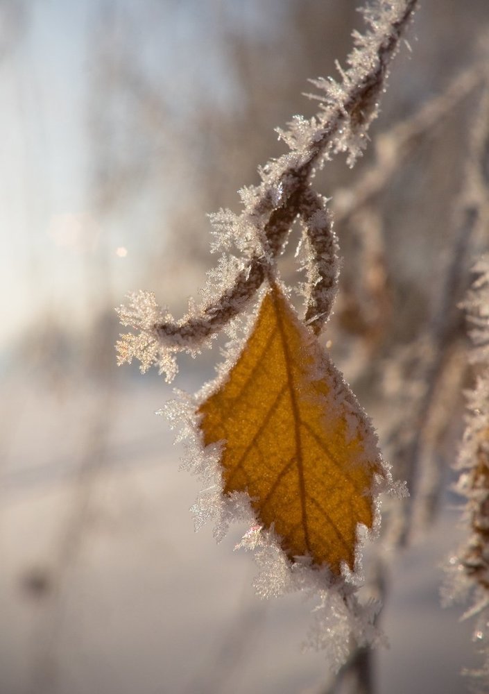 Привет из осени