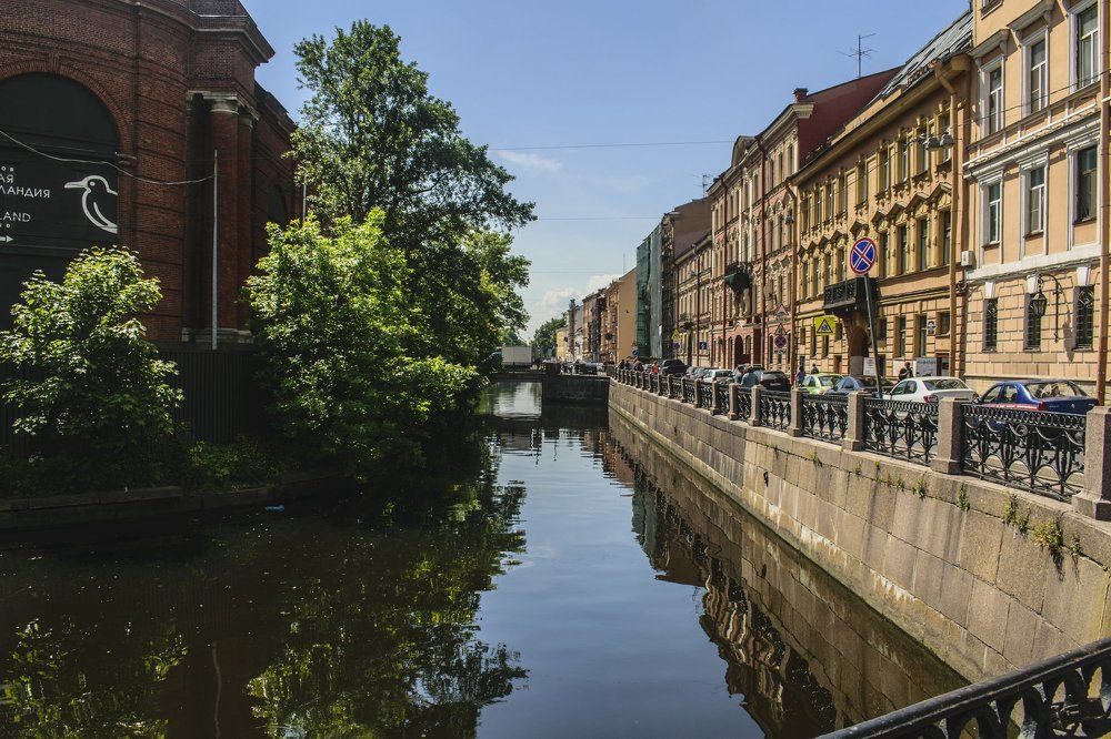 У Новой Голландии