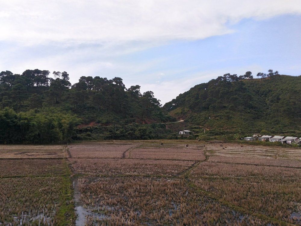Mountain scape