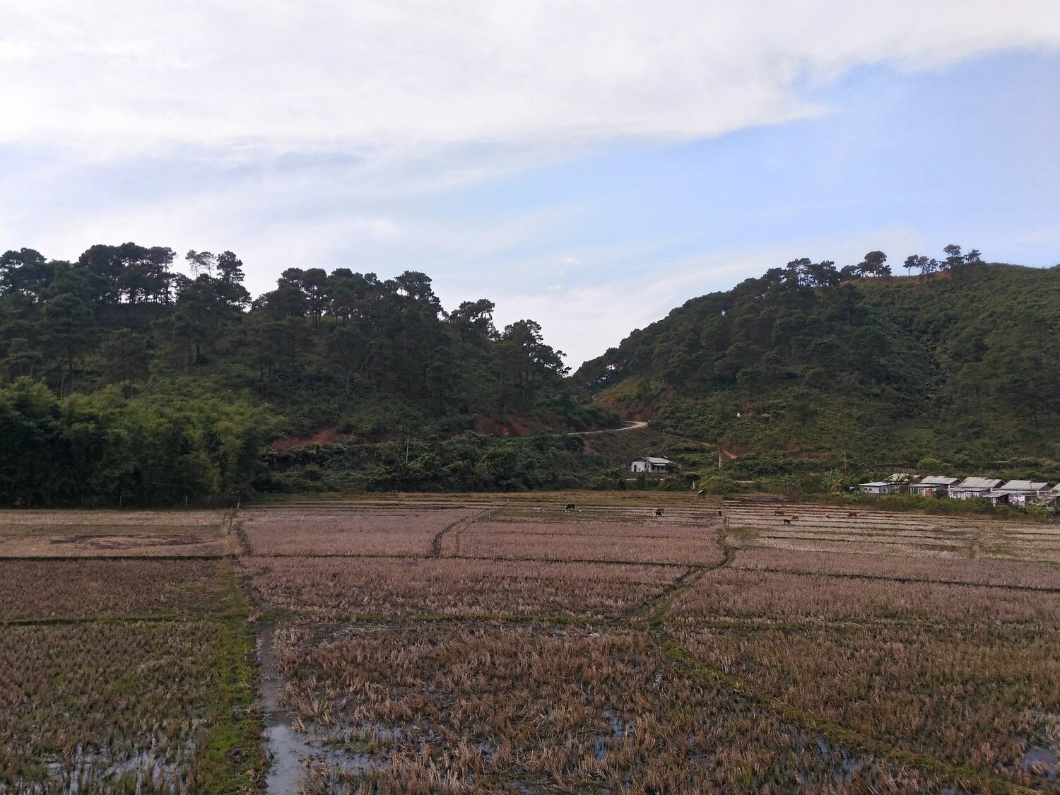 Mountain scape