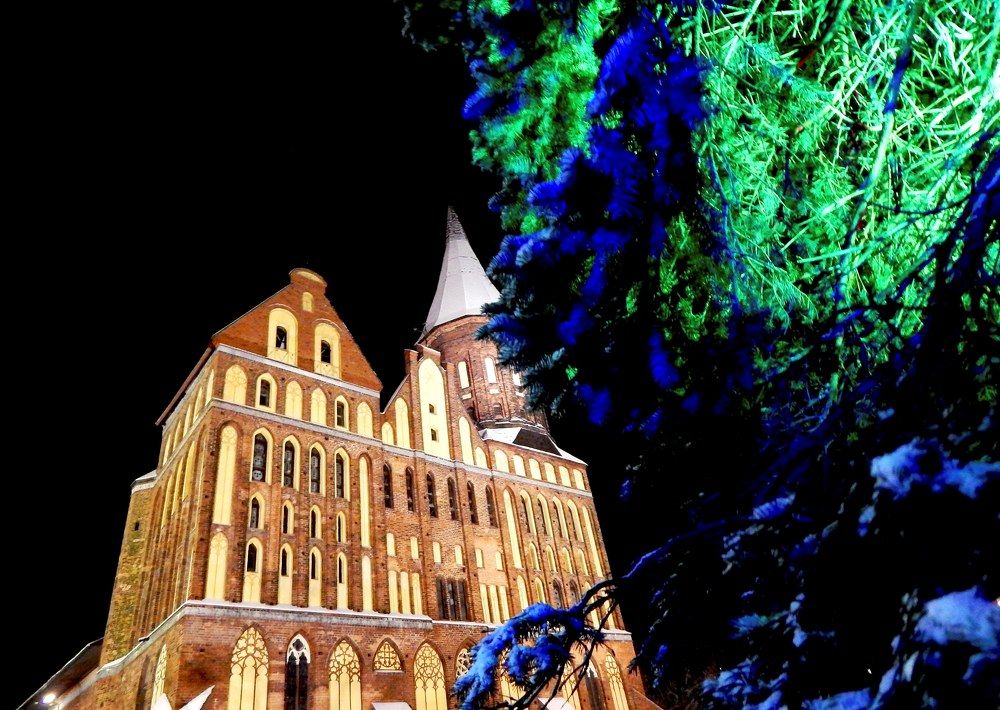 Кафедральный собор в Калининграде