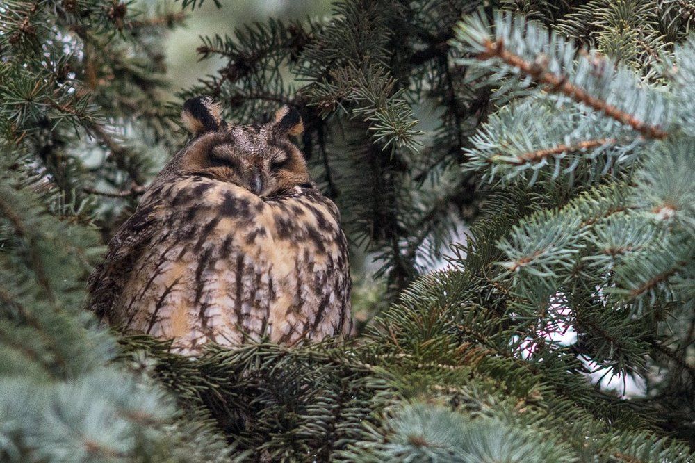 Елочная игрушка