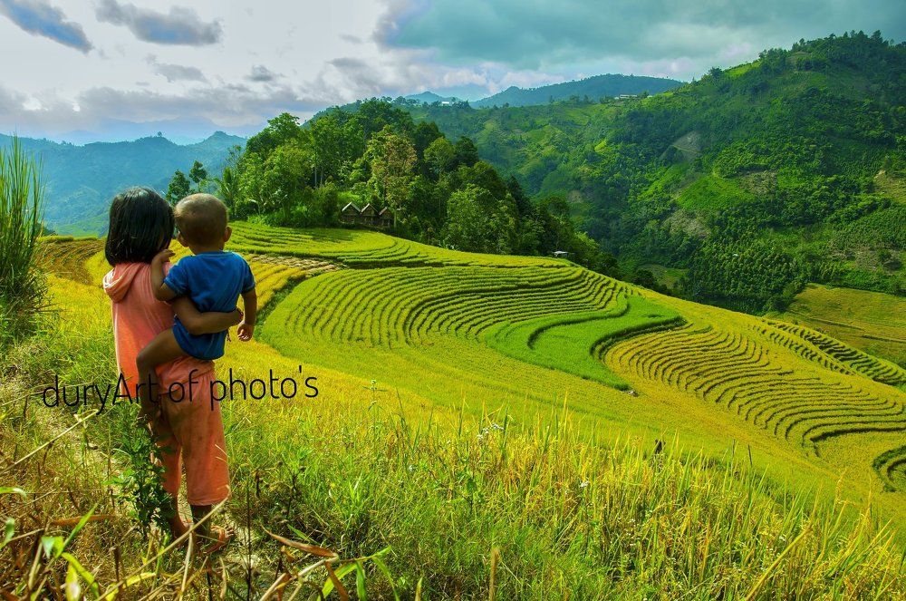 Paddy field dependent on rain for irrigation.