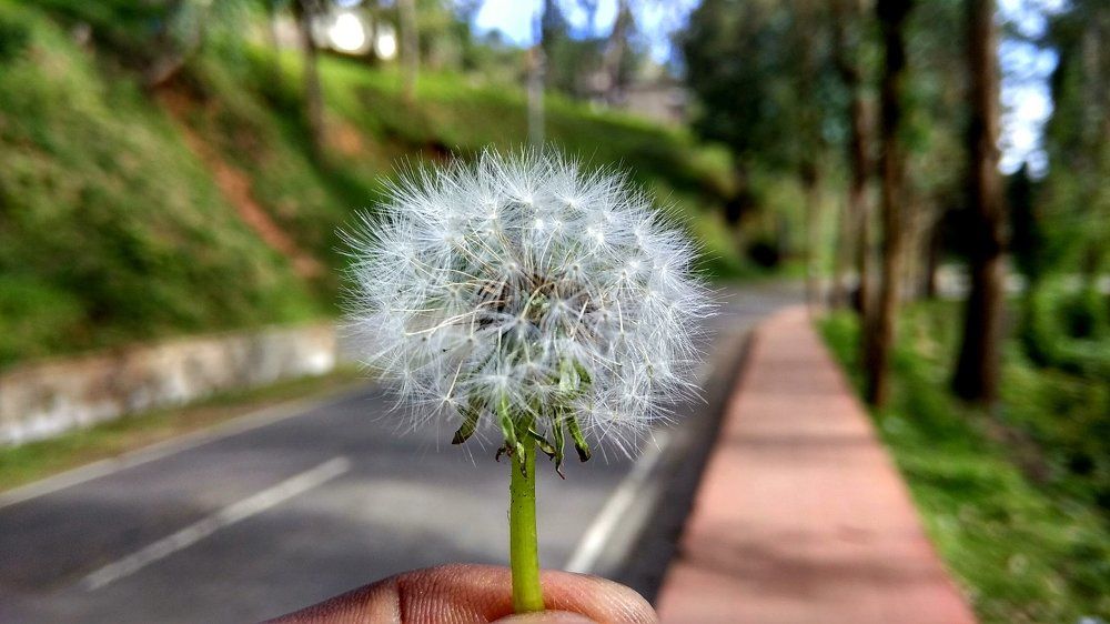 Focus on your goals..