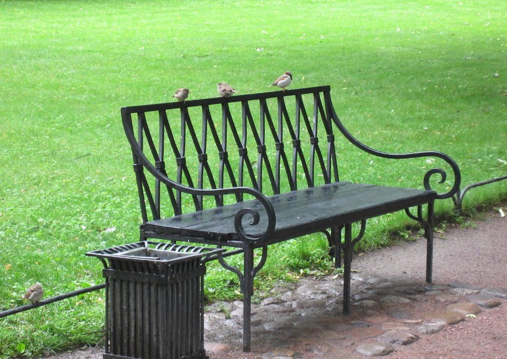 разногласие