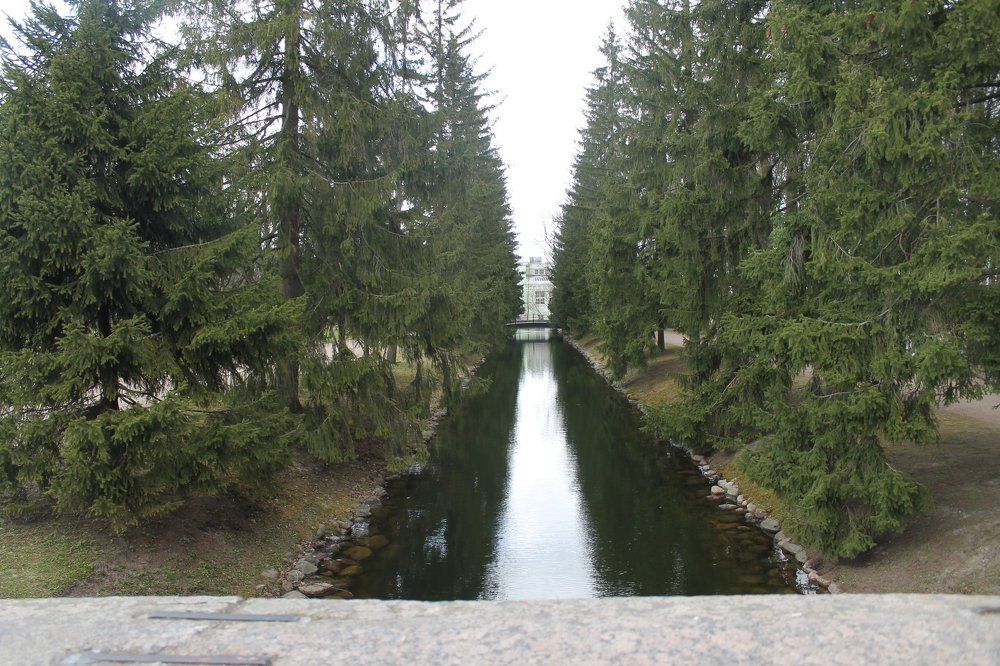 Дорога