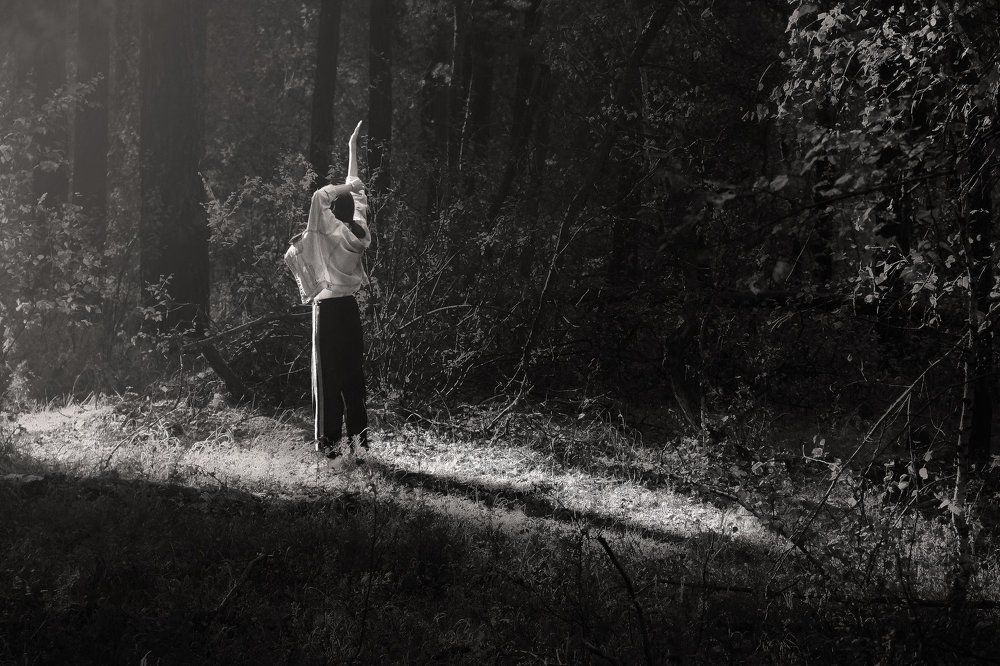 Утро в лесу