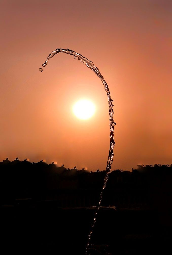 TRUST THE TIMING OF YOUR LIFE